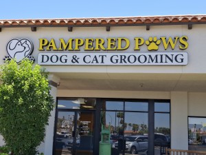 Pampered Paws Dog & Cat Grooming